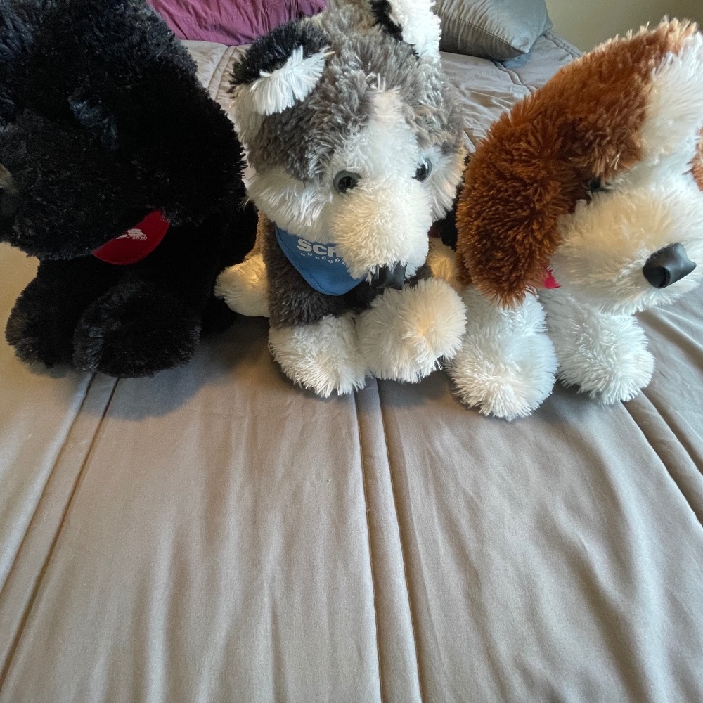 Scheels Plush Dogs